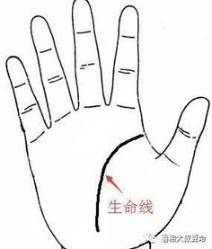 哎哟喂， 你这手相啊…