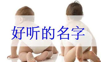 四、 取名技巧——乱中有序，一点点较小技巧帮你穿针引线