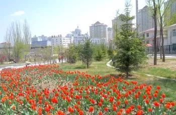 三、早市与胡同：这才是长春的灵魂所在啊喂