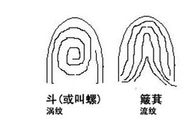 四、 人中的颜色与健康暗示