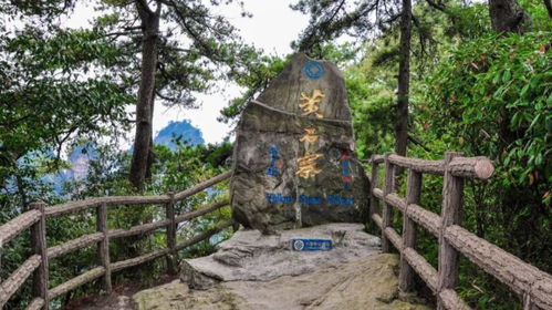 住宿陷阱：花大钱住猪圈，还是省钱睡棺材？