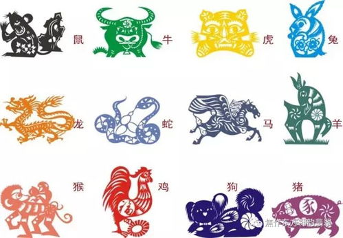 目光如豆代表哪个生肖？这个成语寓意是什么意思？
