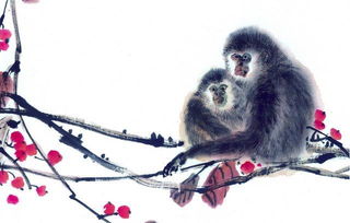 属猴女性脾气性格如何？送属猴女生礼物有何寓意？