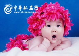 2024龙年最好听的龙宝宝乳名大全推荐