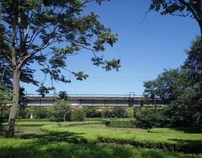 郑州渭河公园：一场充满bug的城市冒险