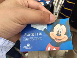 迪士尼的关炎热爱：残障人士免费门票政策