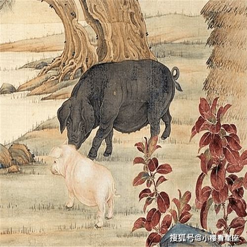 冷血背后的热肠