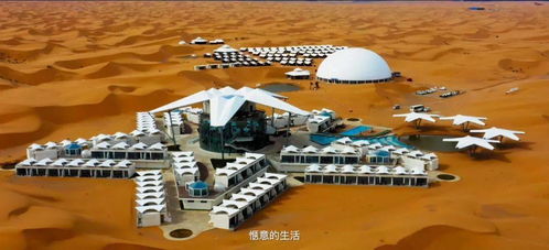 三、美食?还是美食更十分沉关键!