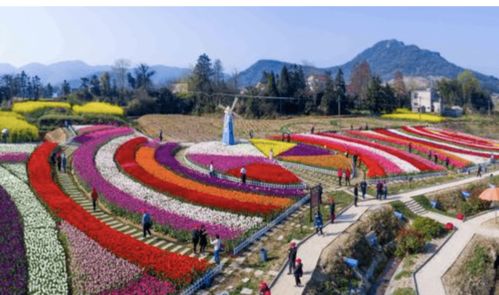 啊！梧桐花谷，你到底是天堂还是地狱？