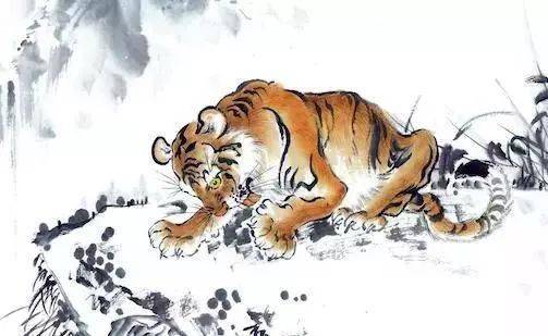 八字中双虎坐堂，这样的不极端命运，是否意味着人生道路宽广而充满机遇呢？