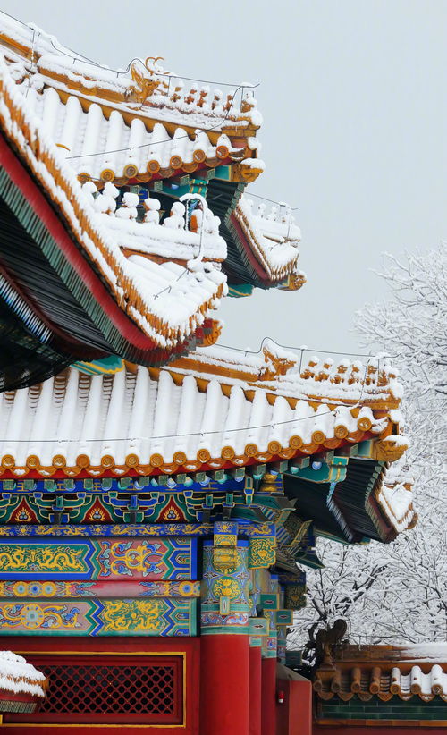 坐船游览：碧波荡漾