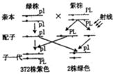 前言——为哪些要用较小六壬来给孩子起名这个？