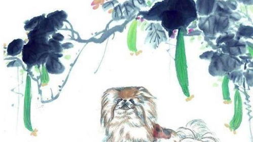 生肖狗女性对婚姻的看法是怎样的？