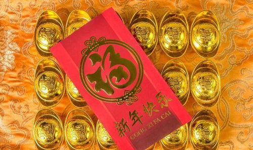 癸巳女命年柱带丁火，配偶财运如何？