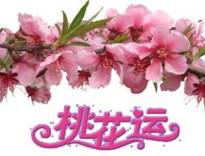 十二生肖中哪个生肖桃花最旺，桃花肖是哪个生肖？