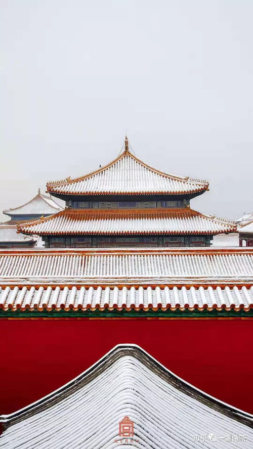 故宫儿童免费日：一场特别的旅行（但别忘记防晒）