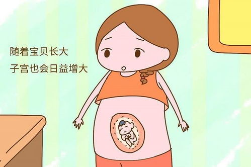 1. 简单产气食物黑名单