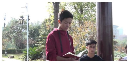 沈姓男孩名字大全：告别俗气，拥抱诗意