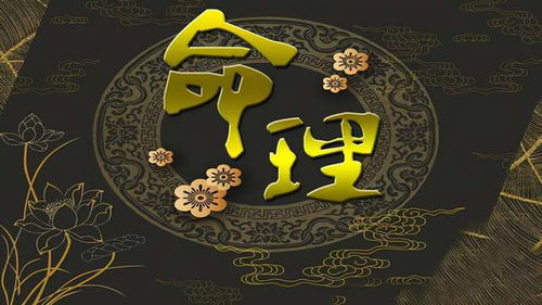 人元藏干在八字中具体有哪些作用？午火藏干是如何影响八字命运的？