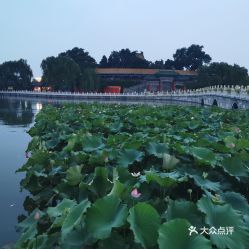 三、瀛海休闲公园（较大兴）
