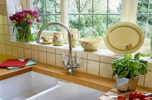 厨房适合种植植物，从风水角度有哪些注意事项？