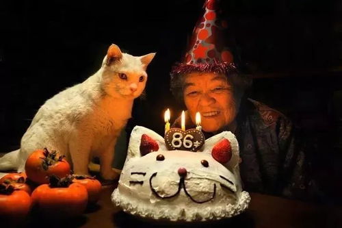 第一章：梦回GZ， 生肖猫的劫数