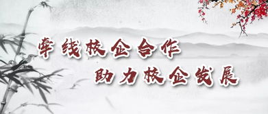 实际用途大揭秘