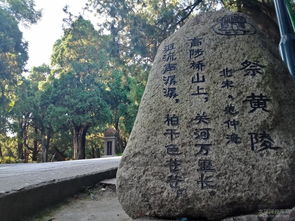 下午：游览桥山
