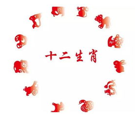 今日属马运势如何，特吉生肖马今日运势详解是什么？