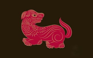 3.2 生肖匹配