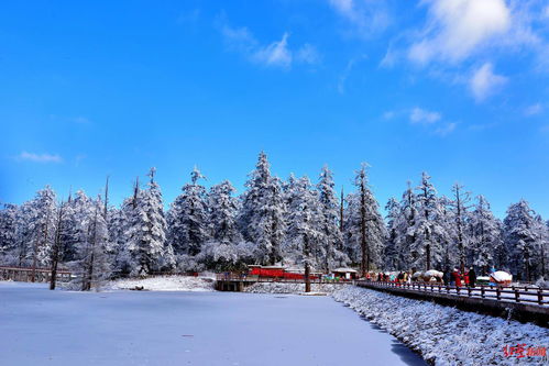 金佛山冬季赏雪，哪个大门是游玩的最佳入口呢？这简直是个世纪难题！