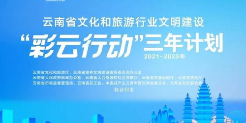 一、 泛定制联盟：从概念到现场的“乱入”