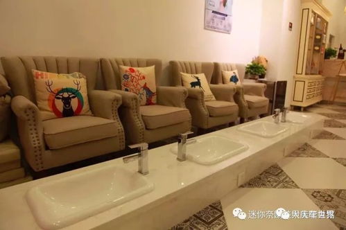 一、 起点：郑州东站外的二手家具市场环境