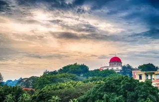 交通体验：花钱找罪受的极限挑战