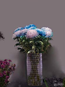 1）西安植物园：华丽菊花展 + 药膳馆