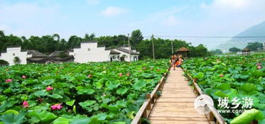 6. 交通？简直要命！