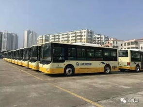 K10路公交车：移动的社会学样本