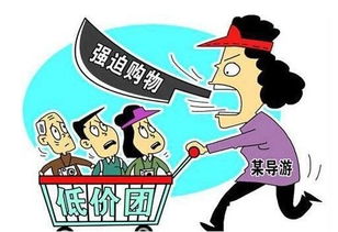 三、 假货赔偿之争：玉镯的悲剧