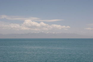 四、 青海湖——高原明珠的浪漫邂逅（随便）
