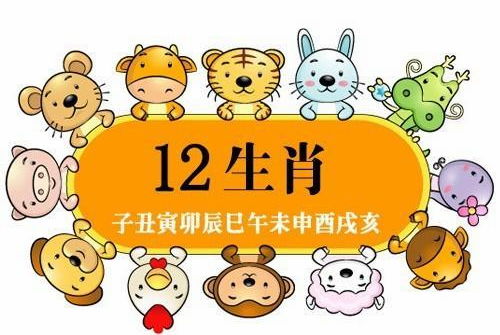 生肖八字不合的婚姻该如何调整才能和谐相处？