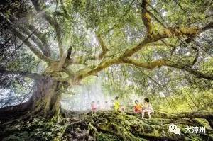 第一次的惊吓与生肖的暗示