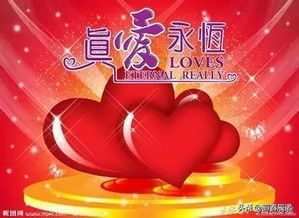 ：玫瑰、 烈日与那一抹未知的红