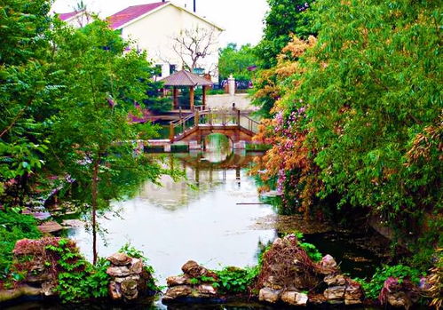 漫步天目湖，享受自然之美