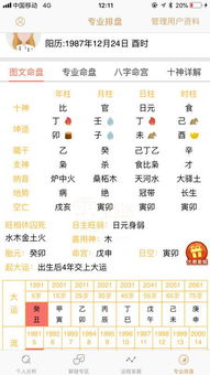 甲子命正冲具体指的是什么它与哪些生肖的合冲算运途有何关联？