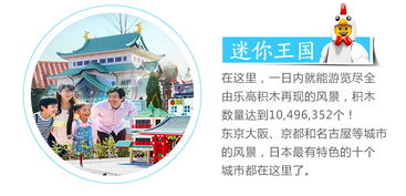 五、 阳光草坪——野餐+自拍+意外惊喜