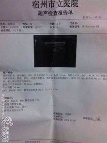 案例分析