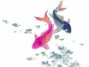 暖居寓意和象征风水,三条鱼的寓意和象征风水