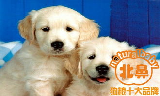 热到冒烟的七月，到底该不该信黄历？