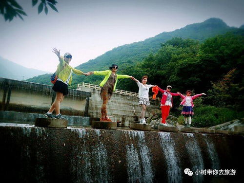 八、游客的选择权