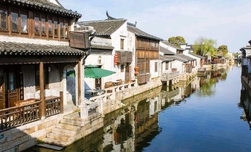 古镇的生死抉择：从收钱到饿死，从免费到撑死